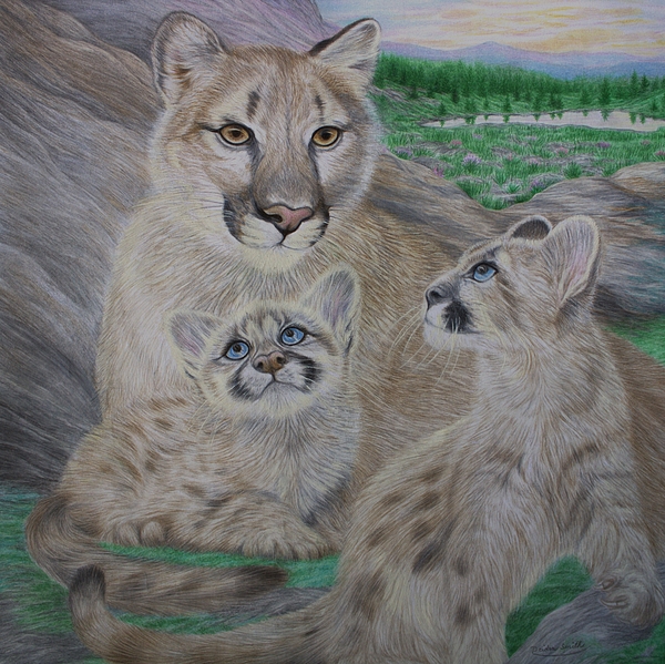 Deidra Smith - Mountain Lion Family above Gold King Basin in Colorado