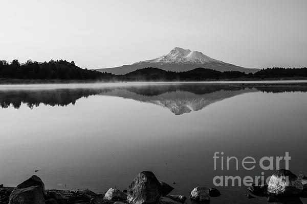 Suzanne Luft - Mt. Shasta From Trout Lake BW