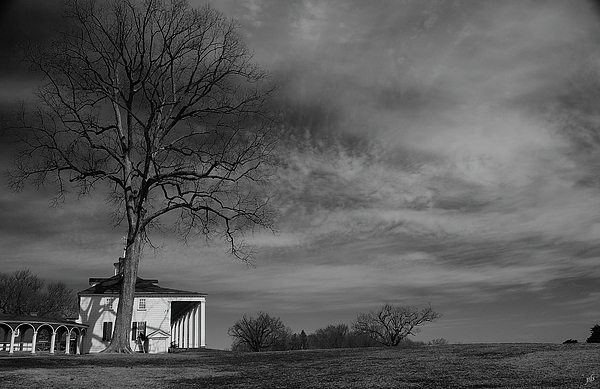 Landscape Photographs