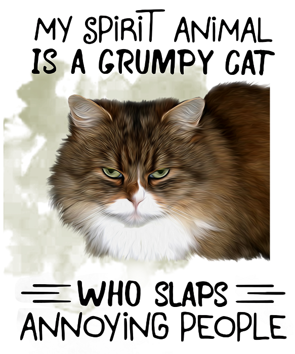 Angry Cat Meme I'm Grumpy So What Kids Sweatshirt