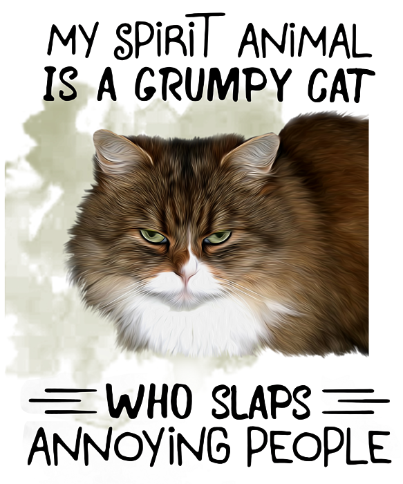 Angry Cat Meme I'm Grumpy So What Poster