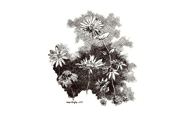 Summer Art