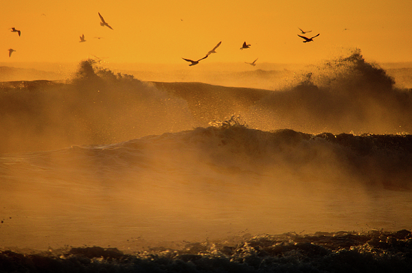 Dianne Cowen Cape Cod Photography - Mysterious Ocean
