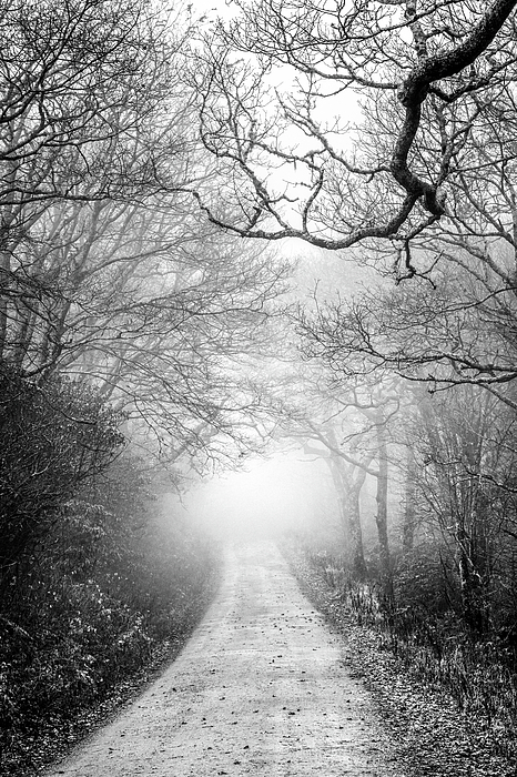 Debra and Dave Vanderlaan - Mystery in the Mist Black and White
