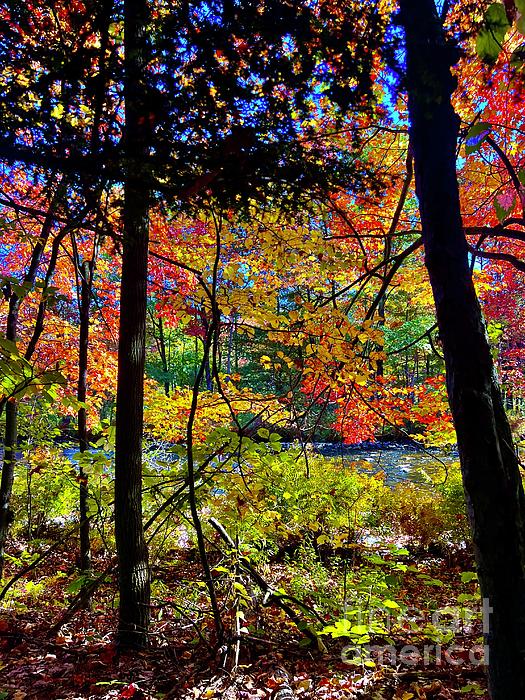 Tree Art