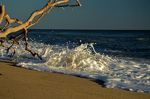 Dianne Cowen Cape Cod Photography - Nauset Light Beach - Cape Cod