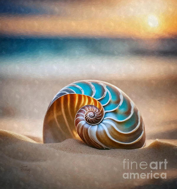 Sandi OReilly - Nautilus Shell At Sunset Watercolor