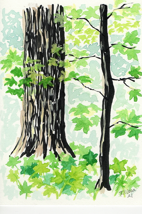 Landscape Paintings