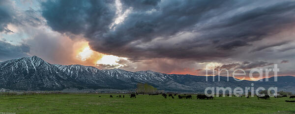 Mitch Shindelbower - Nevada Spring Sunset