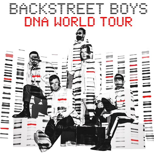 新品 Backstreet Boys DNA WORLD TOUR サイドバッグ - ミュージシャン