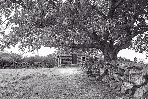 New England Art