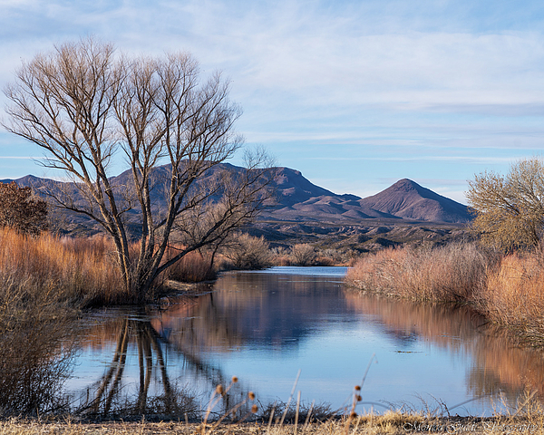 Monica Guidi - New Mexico Autumn Landscape