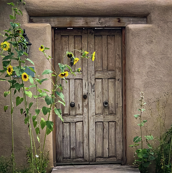 Rebecca Herranen - New Mexico Rustic Gate with Sunflowers