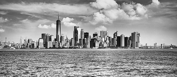 Peter Cole - New York City  panorama