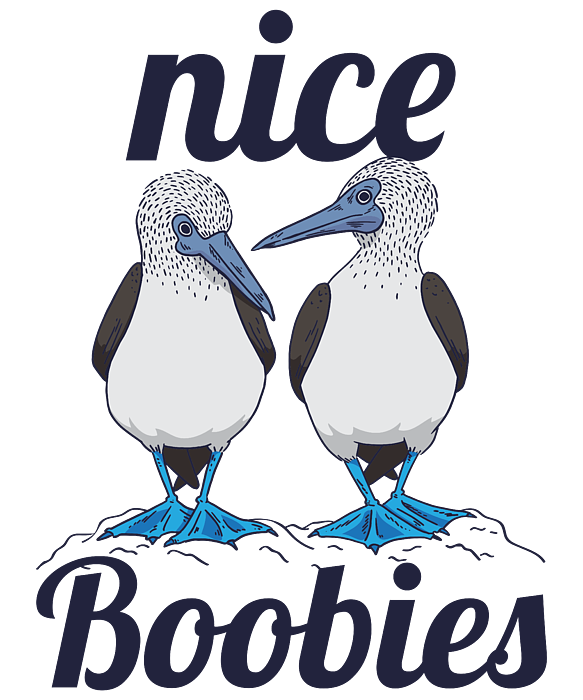 Nice Boobies Gift Blue Footed Booby Bird Funny T-Shirt by Qwerty 