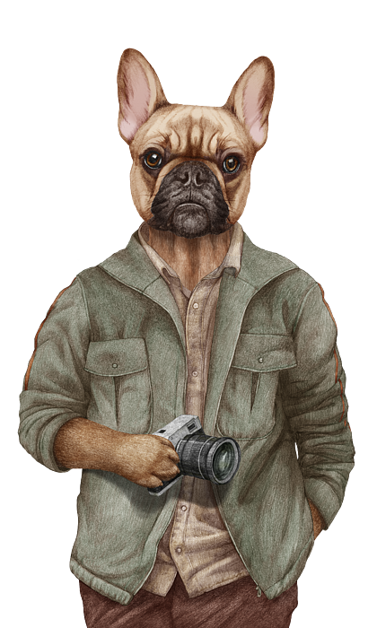 Bulldog clothing for store humans