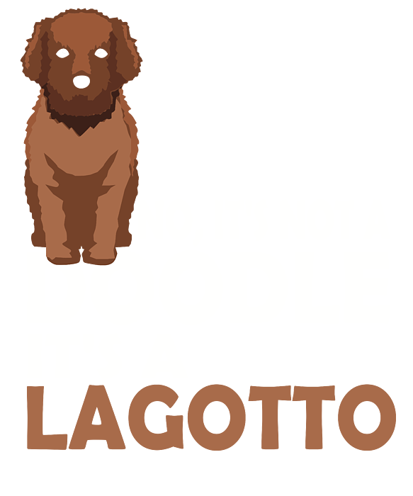 Lagotto doodle hot sale