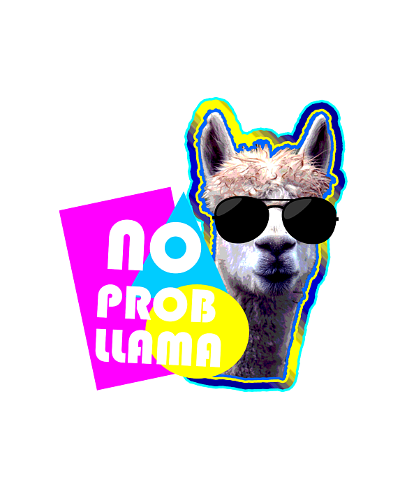 No Prob-llama Kids