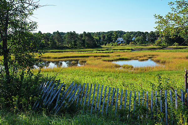 https://images.fineartamerica.com/images/artworkimages/medium/3/north-strand-trail-meadow-and-fence-lynn-massachusetts-toby-mcguire.jpg