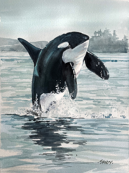 Northern Orca Jigsaw Puzzle by Sandy Thornton - Pixels