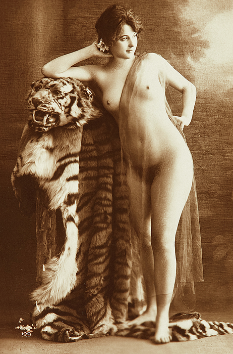 Nude Woman, Standing woman with tiger skin, 1890 Duvet Cover by French Nude Postcard