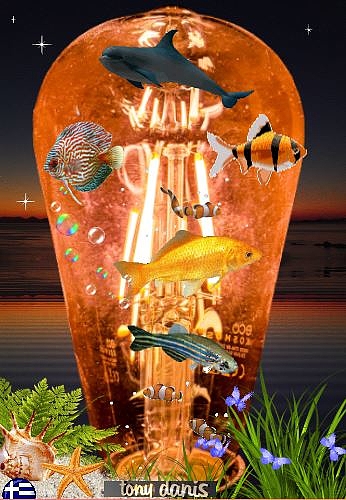 Antonis Meintanis - Of My Lamp The Aquarium
