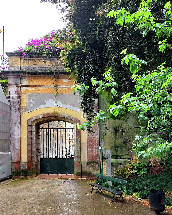 Irina Sztukowski - Old Arch With Pink Flowers Botanical Garden Old Lisbon Historical Downtown Portugal 