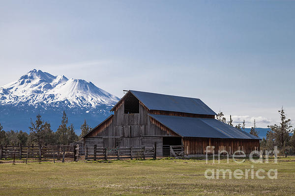 Suzanne Luft - Old Barn And Mt. Shasta