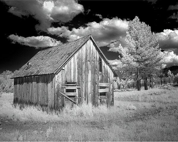 Mike Lee - Old Cabin Infrared