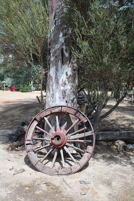 Michaela Perryman - Old Wheel and Tree
