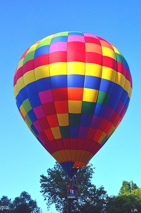 Lisa Wooten - One Hot Air Balloon Vertical