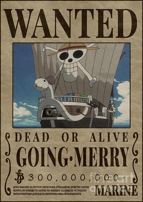 One Piece - A morte do Going Merry