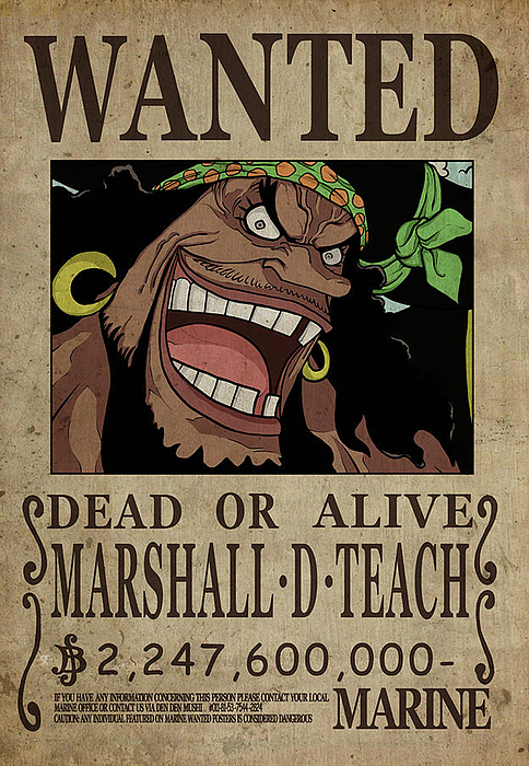 One Piece Wanted Poster - BLACKBEARD Beach Towel by Over Waaiden - Pixels