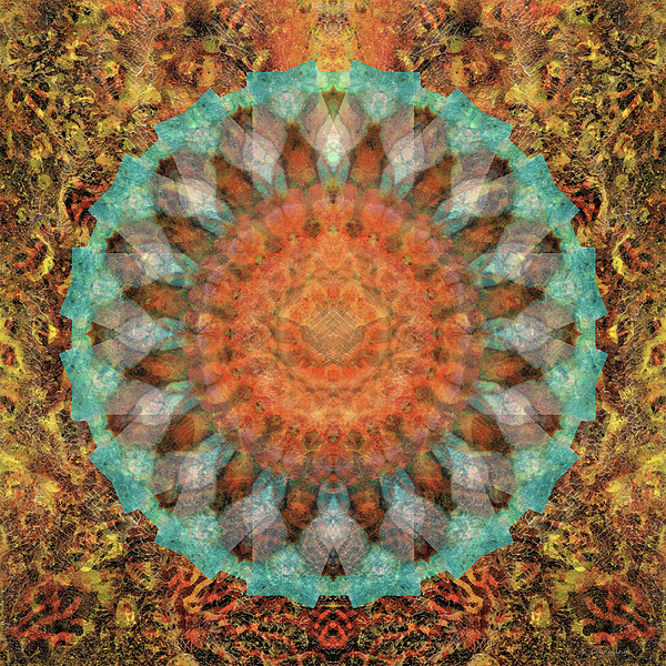 Orange Aqua Art - Sacred Tiger Lily iPhone 13 Case by Sharon Cummings -  Pixels Merch