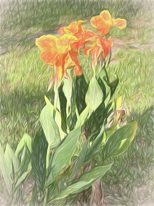 Flowers Still Life Photographs