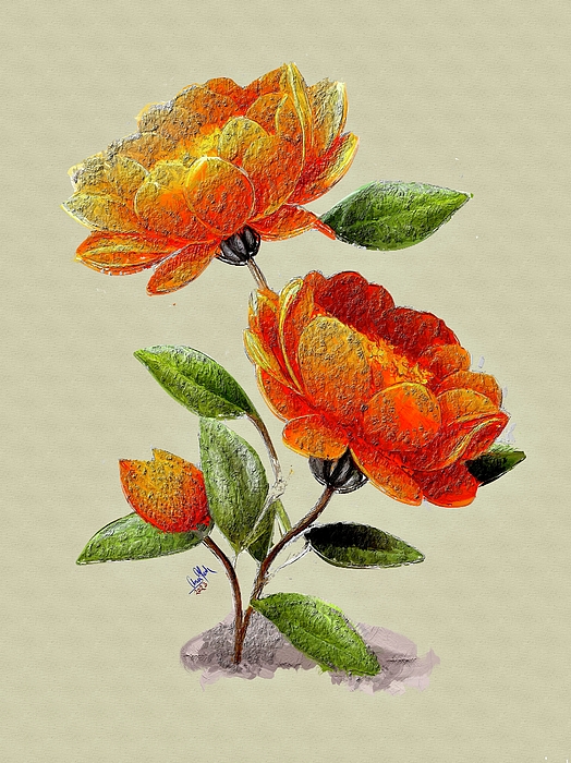 Anas Afash - Orange Flowers