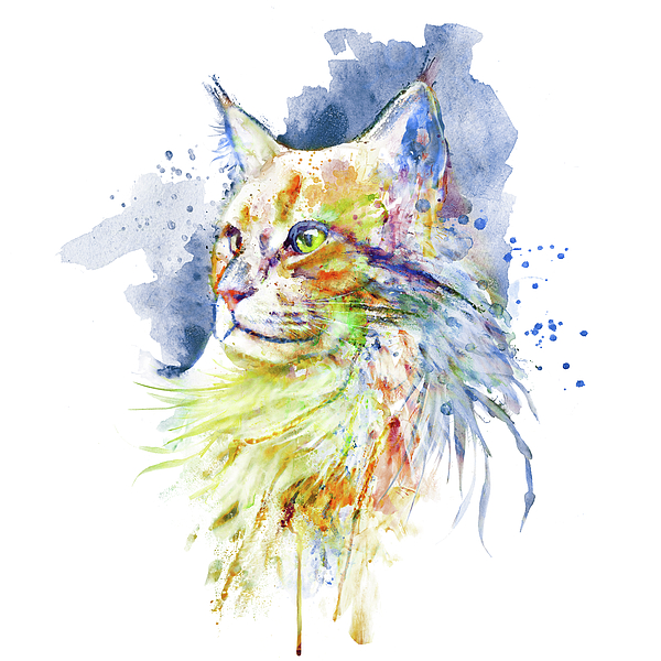 Marian Voicu - Orange Maine Coon Cat Profile