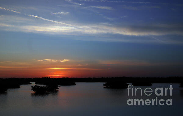 Brenda Harle - Orange Sunrise Over The Mangroves