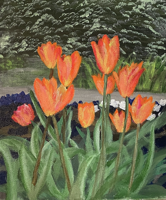 Beryl Jasper - Beaming Orange Tulips 