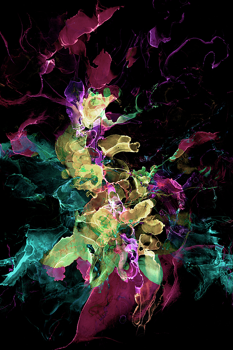Fluid Art