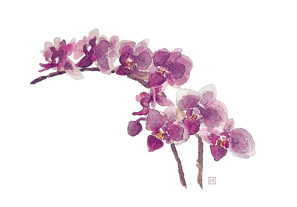 Floral Art