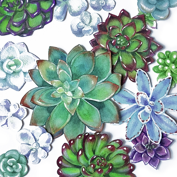 Irina Sztukowski - Organic Beautiful Succulent Plants Garden Watercolor Art Decor I