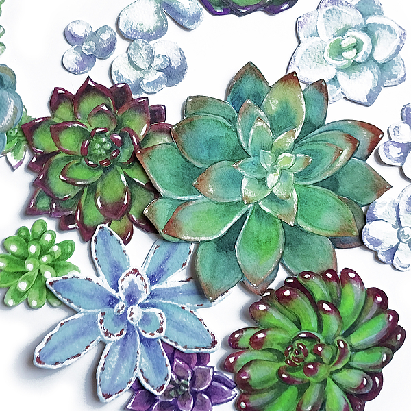 Irina Sztukowski - Organic Beautiful Succulent Plants Garden Watercolor Art Decor II
