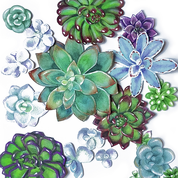 Irina Sztukowski - Organic Beautiful Succulent Plants Garden Watercolor Art Decor III