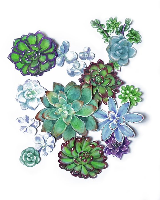 Irina Sztukowski - Organic Succulent Plants Garden Watercolor Art Decor 