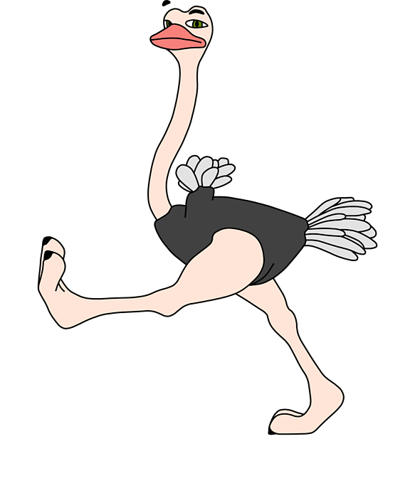 ostrich clipart pictures