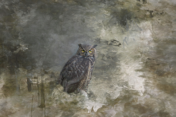 Marilyn Wilson - Sitting Great Horned Owl
