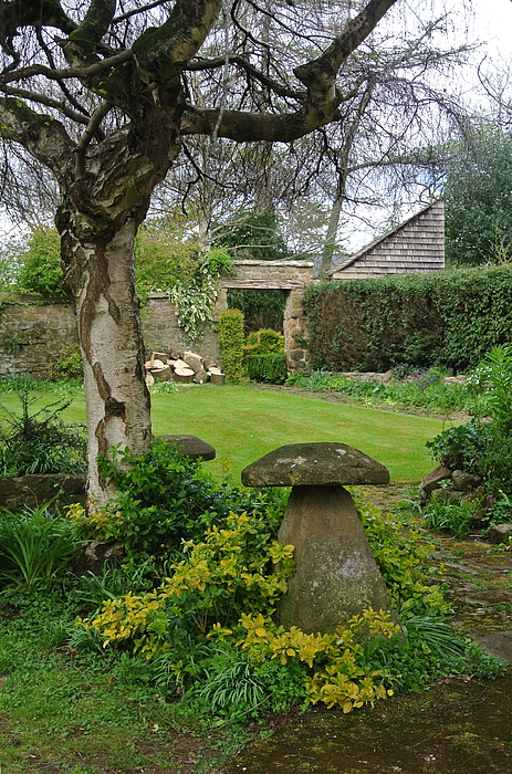 Lynne Iddon - Oxfordshire Garden UK V