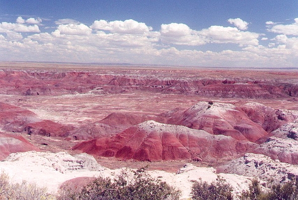 Pat Goltz - Painted Desert