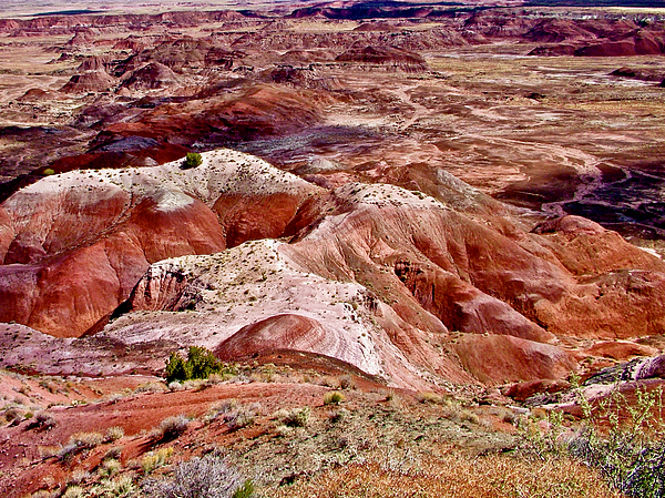 Painted Desert 500 Piece Puzzle - Quick Ship  Desert painting, Jigsaw  puzzles, 500 piece jigsaw puzzles